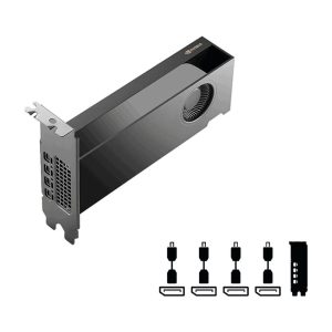 PNY NVIDIA RTX PRO 2000 Blackwell 16GB VCNRTXPRO2000B-PB
